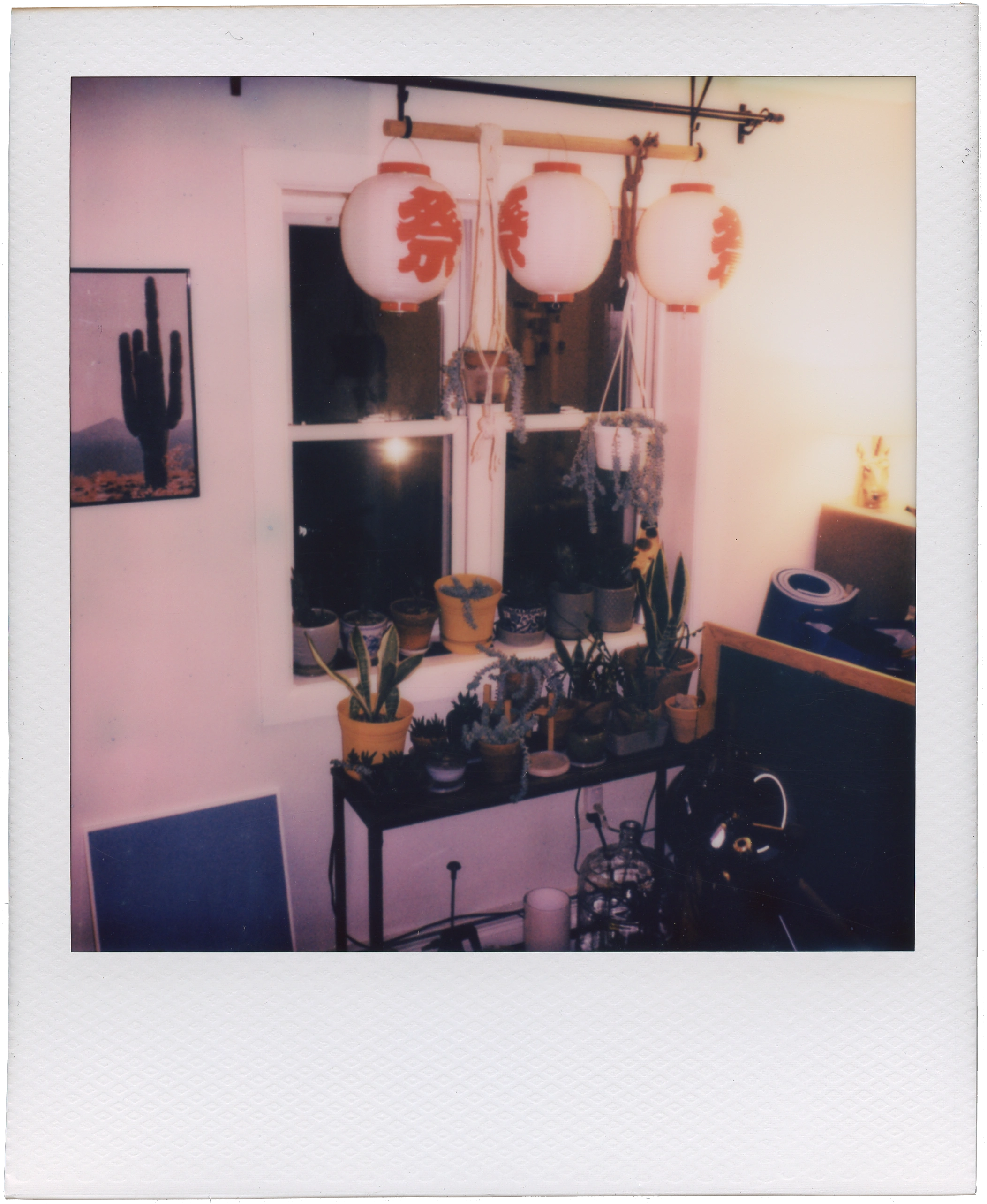 Polaroid scan, full resolution