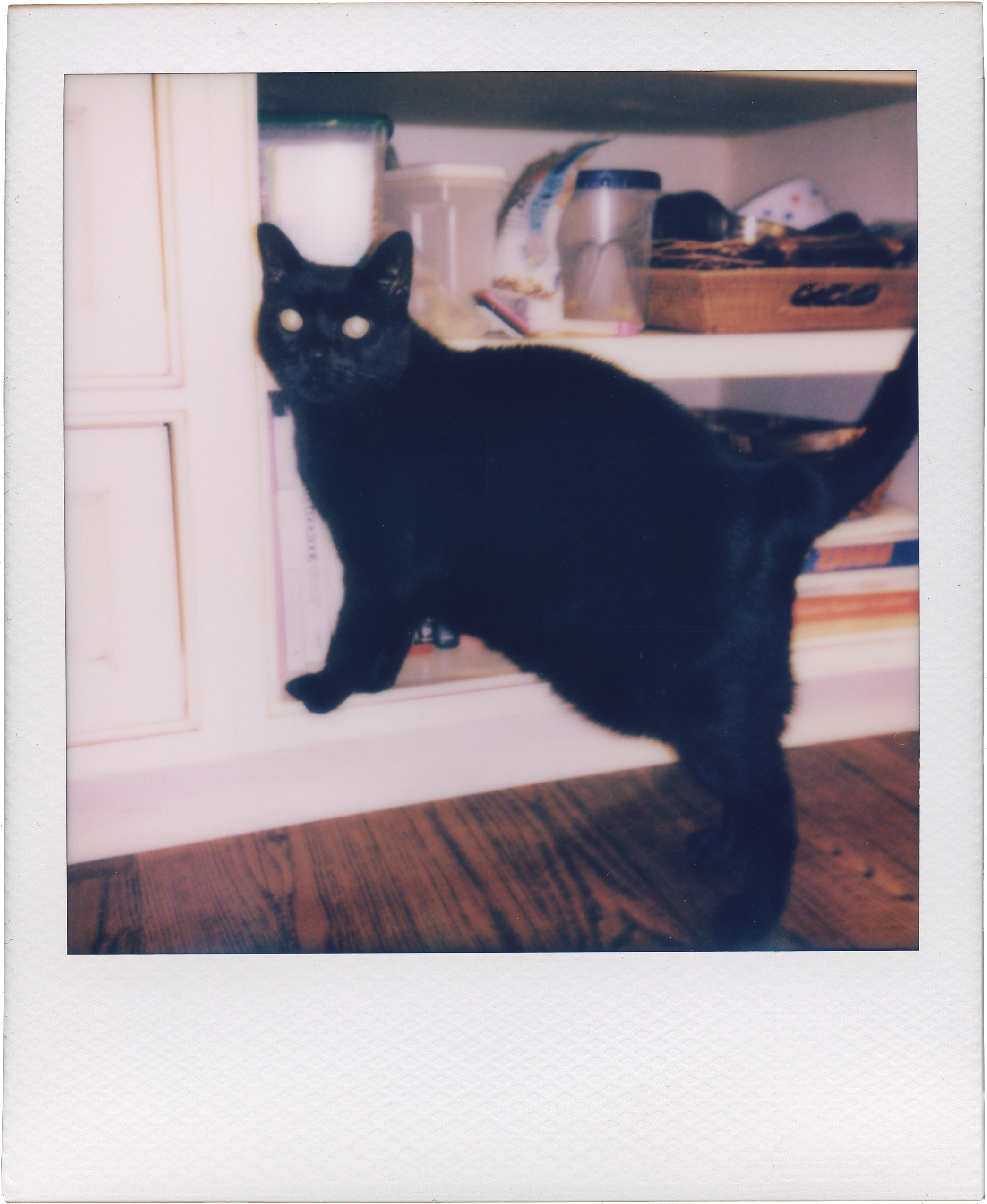 Polaroid scan, full resolution