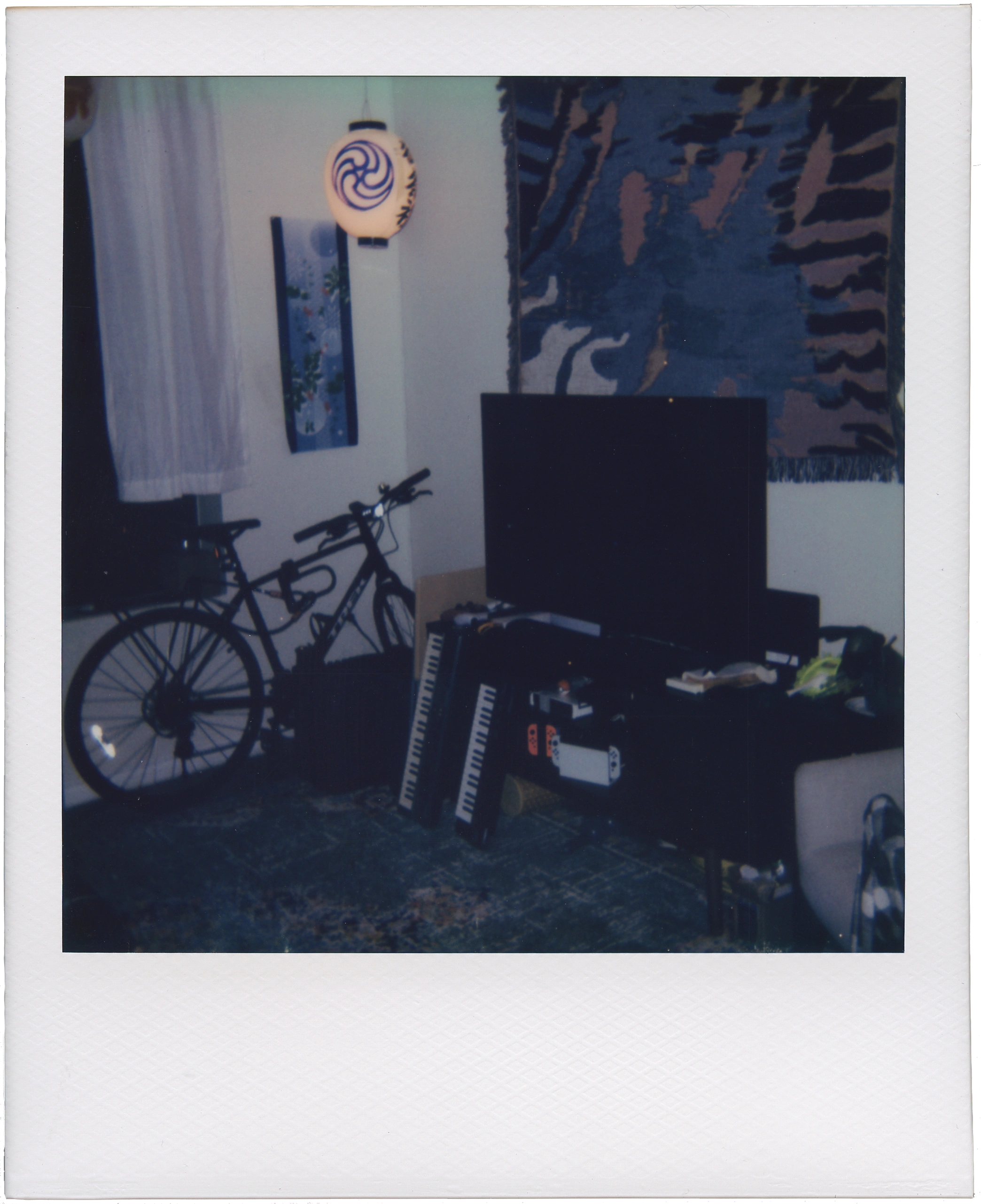 Polaroid scan, full resolution