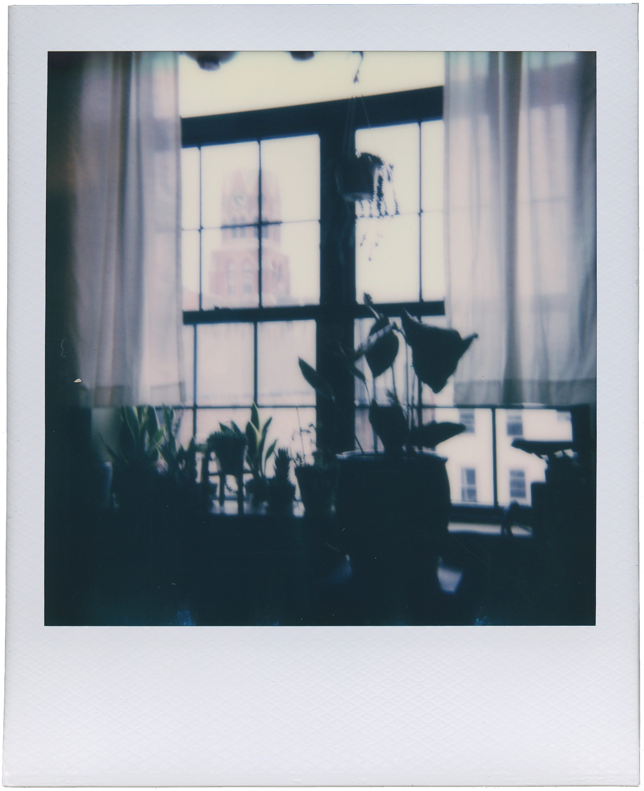 Polaroid scan, full resolution